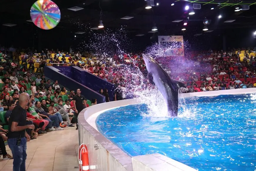 Dubai Dolphinarium entrance