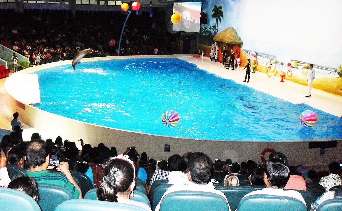 Dubai Dolphinarium