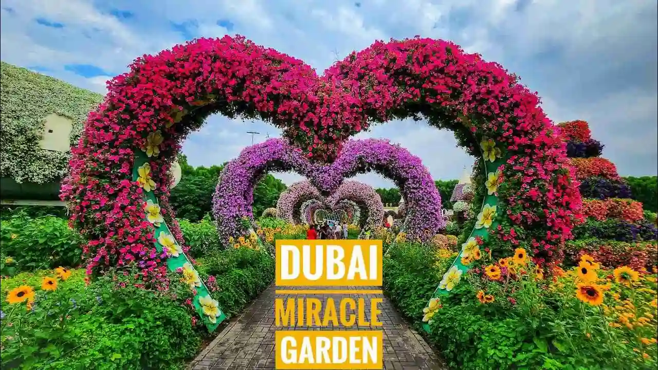 Dubai Miracle Garden