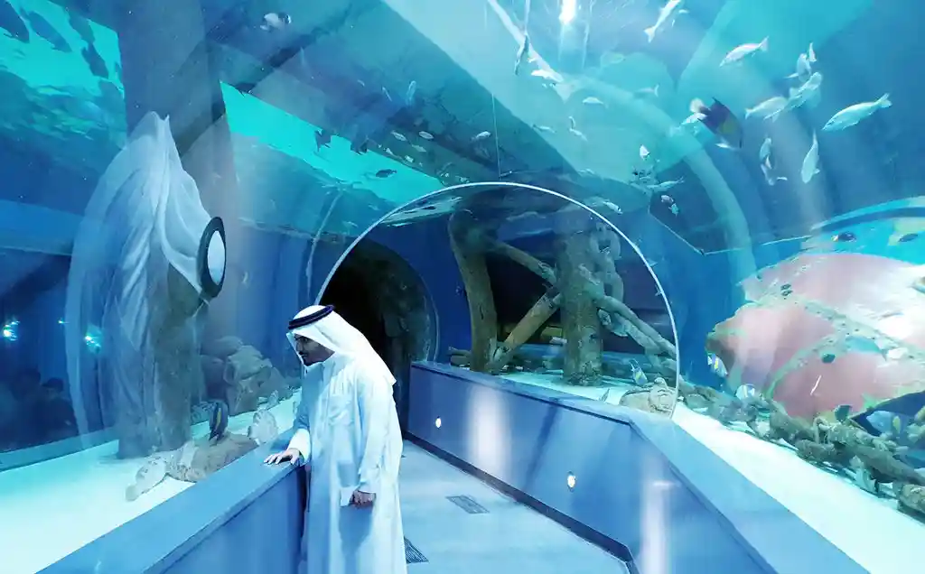 How to Get to Sharjah Aquarium