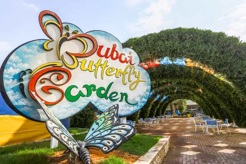 How to get to Dubai Butterfly Garden