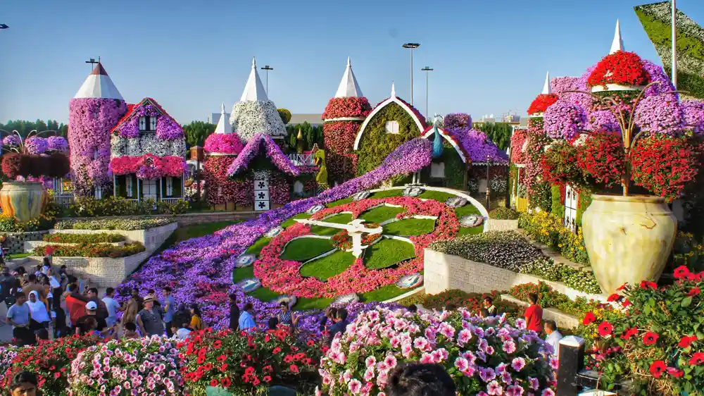 How to reach Dubai miracle garden