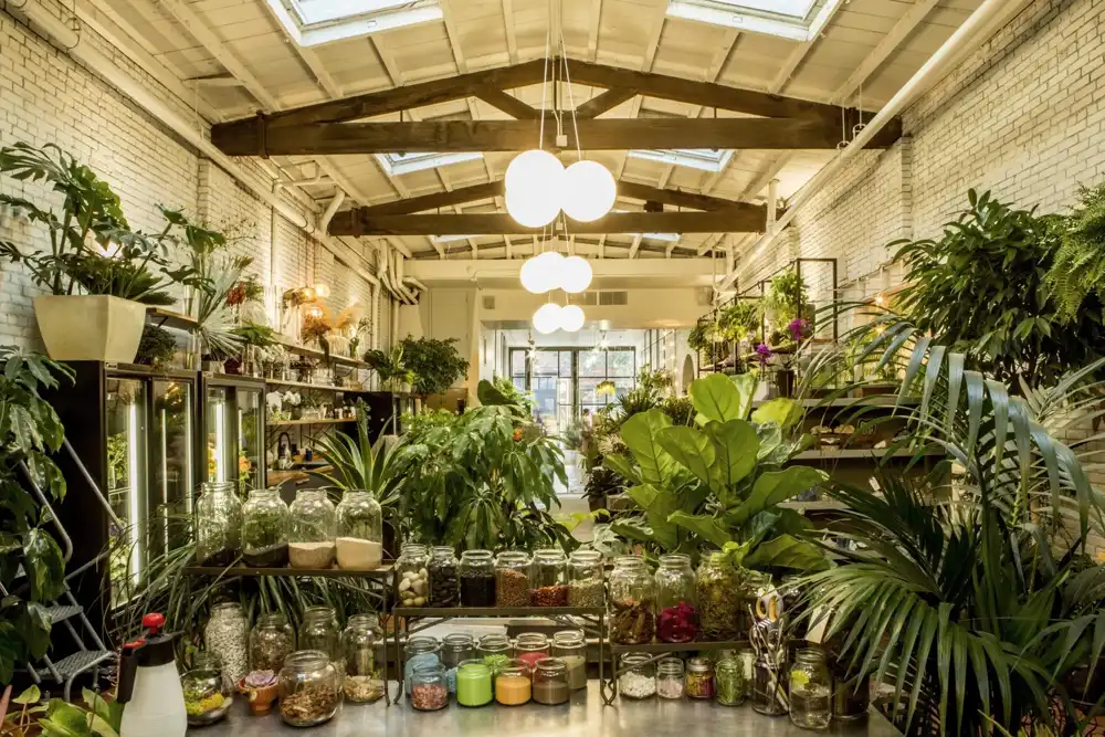 Plant Stores In Dubai