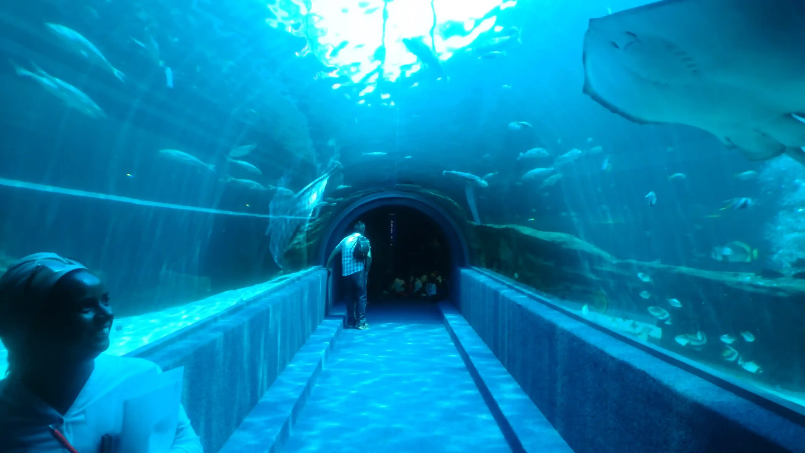 Sharjah Aquarium